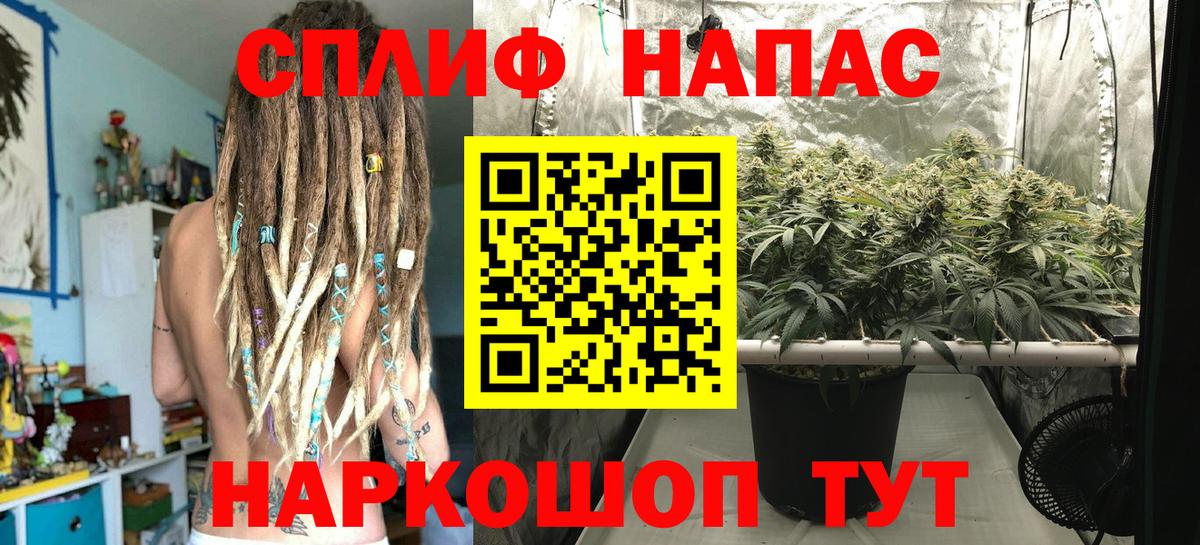 Бошки Шишки план  МАРИХУАНА семена  Бошки Шишки THC 21%  Вход с VPN  Новошахтинск 